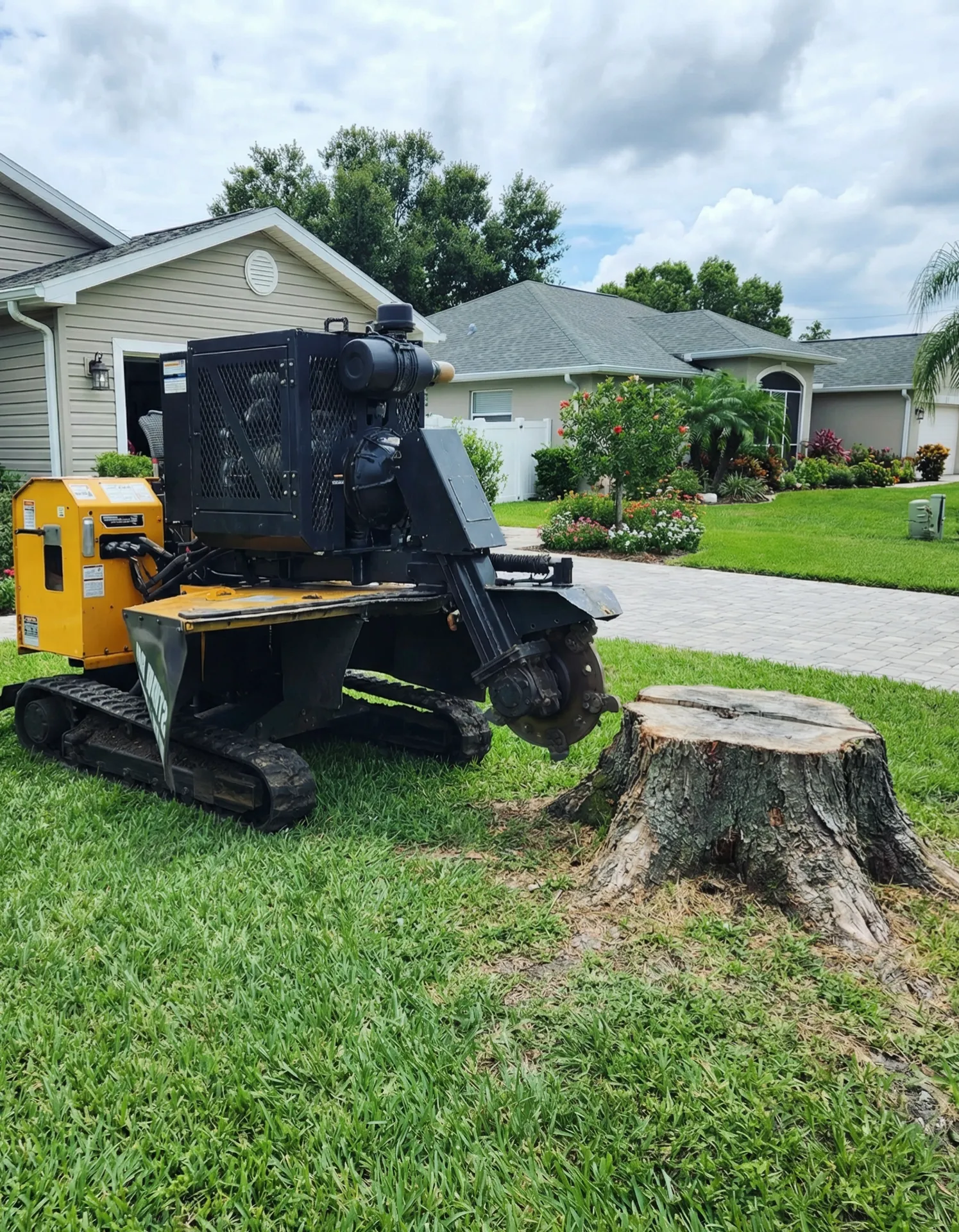 Stump Removal in Progress on a property in Hillsborough County, FL