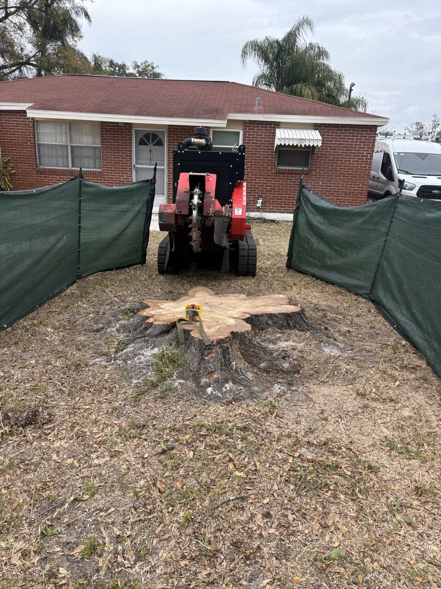 Stump Man Stump Grinding Working on a Residential Property