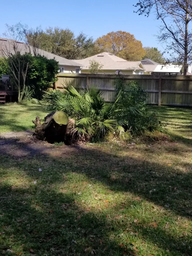 Before Stump Removal Service