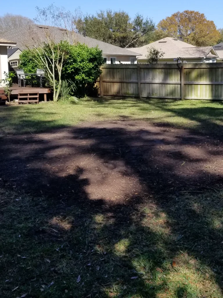 After Stump Removal Service