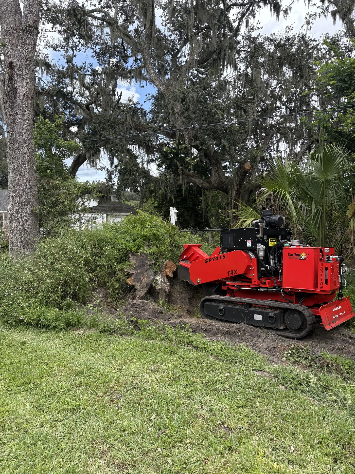 Large Stump Removal in Pasco County, FL