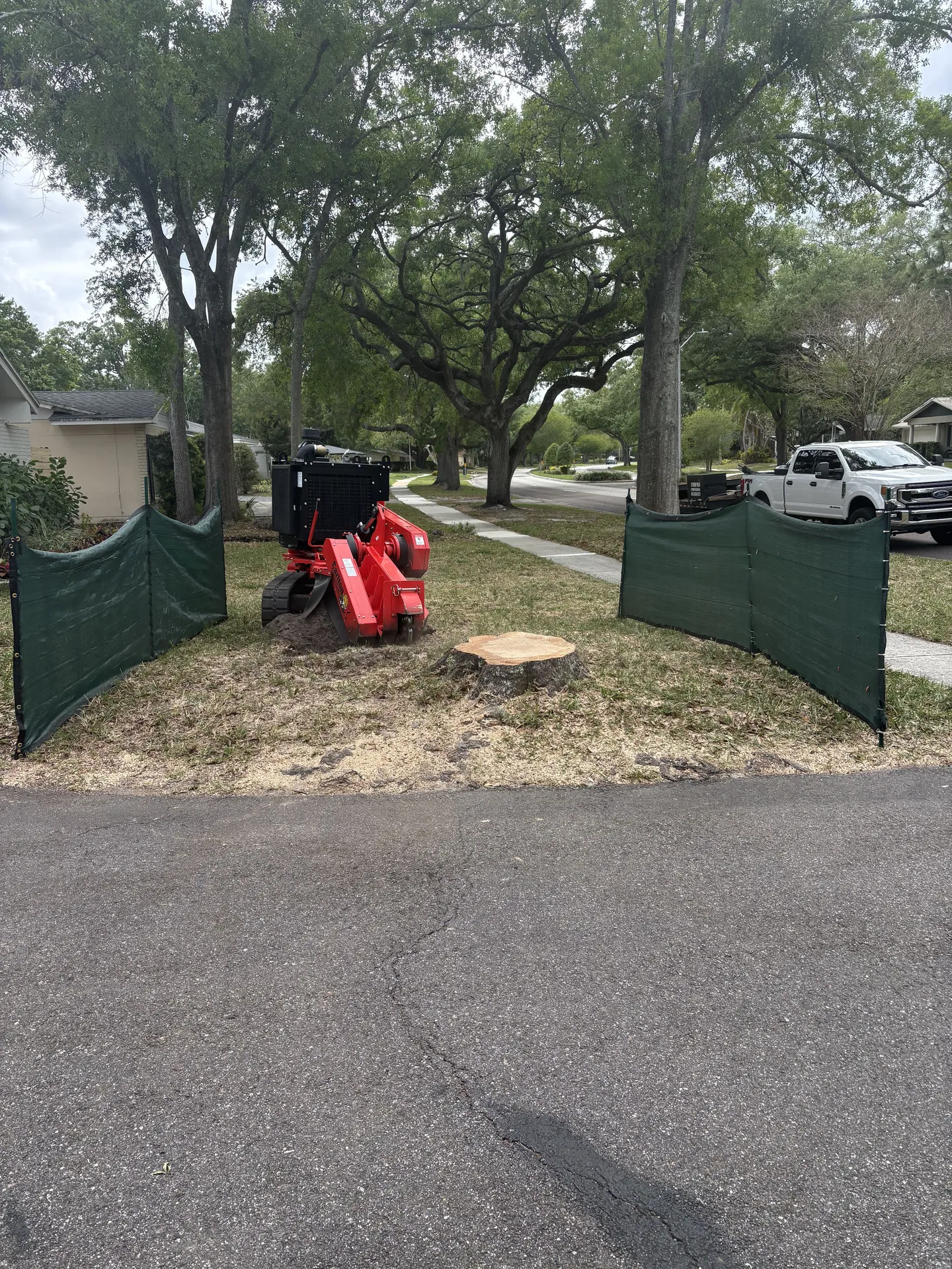 Stump Removal in Progress Pasco County, FL
